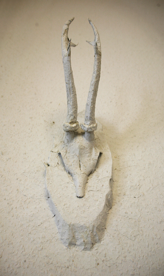 Anja Kemker , “Bambi 2” , 2014, Rehgeweih, Rauhfaser tapeziert, ca. 12 x 38 x 17 cm